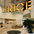 RICE Communications - Haw Par Glass Tower | Product Seen: [Dasha Coffee Table – Marble, Kiki Stool, Campus Stool & Panel Bench w/ Clean Rubberwood Top – Customisable]